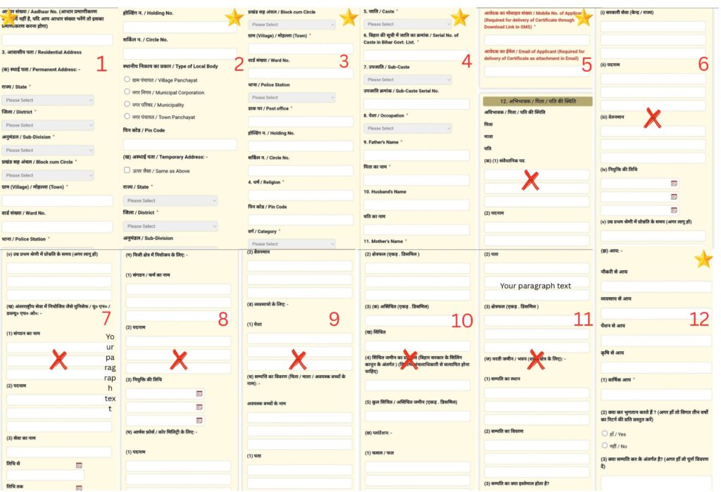 RTPS ServicePlus Bihar OBC NCL Certificate (State and Central Govt) Online Apply 2026.